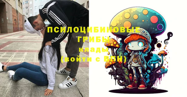прущая мука Пестово