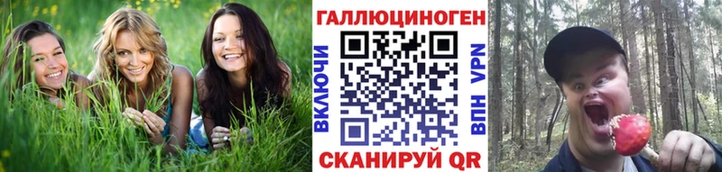 Галлюциногенные грибы Psilocybe  блэк спрут сайт  площадка формула  Абаза 